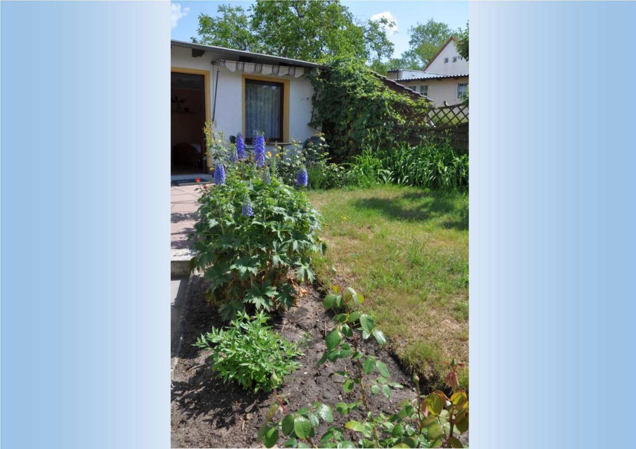 Ahlbeck_Seebadwohnung 03 Heringsdorf  Buitenkant foto